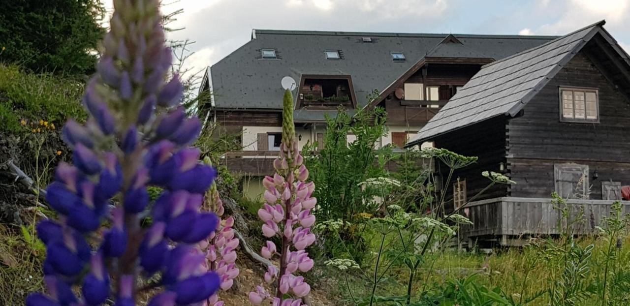 Katschberghoehe 21 Exteriér fotografie